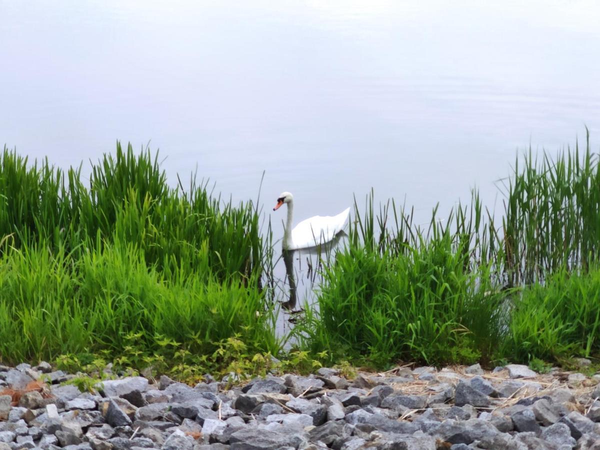 Miodowa Sadyba Domki Caloroczne Kluczbork Ligota Zamecka Exteriér fotografie