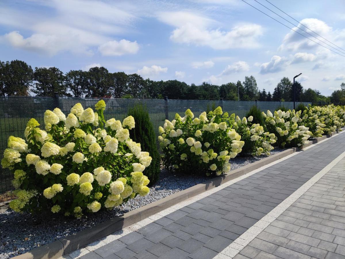 Miodowa Sadyba Domki Caloroczne Kluczbork Ligota Zamecka Exteriér fotografie