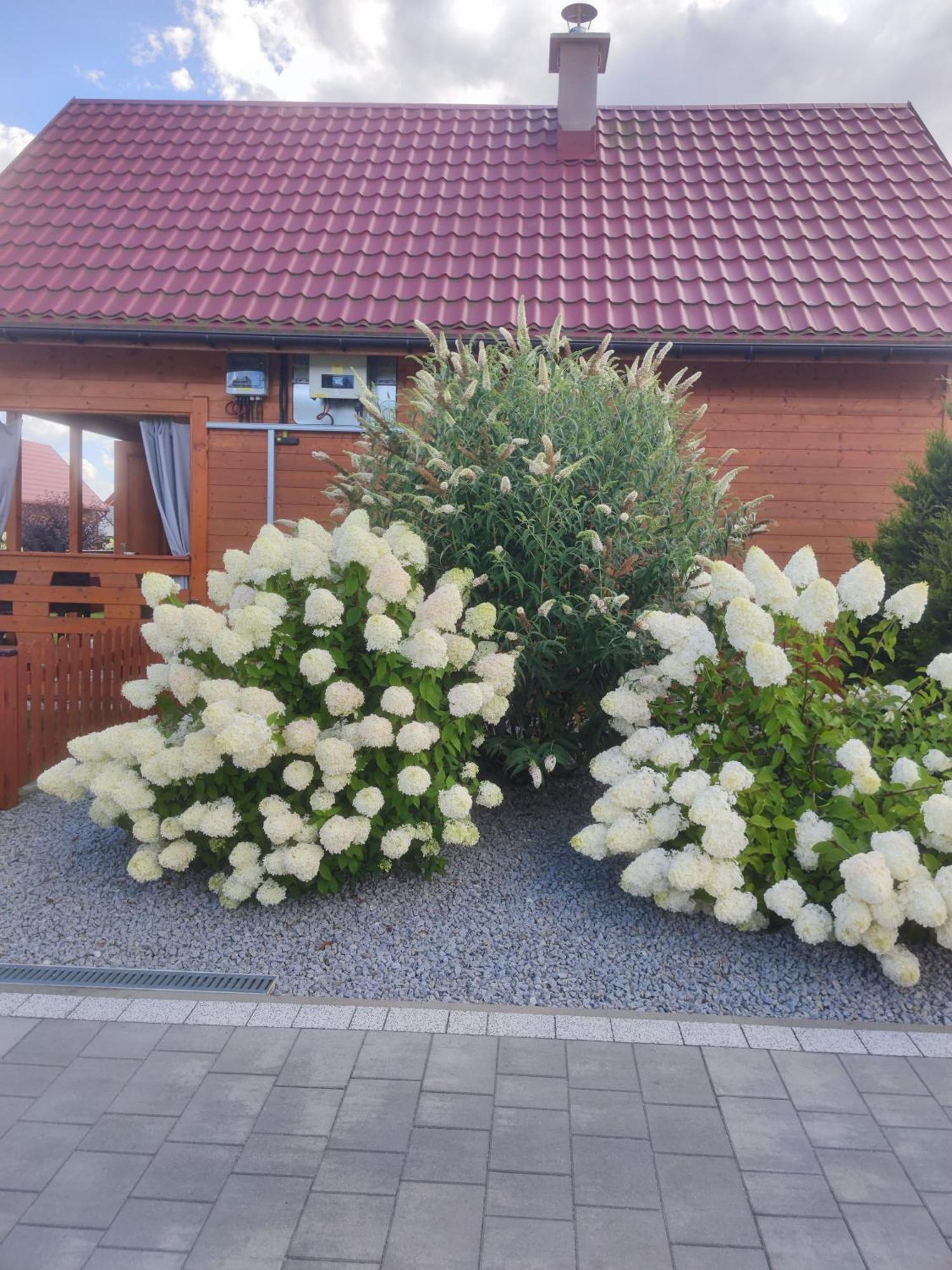 Miodowa Sadyba Domki Caloroczne Kluczbork Ligota Zamecka Exteriér fotografie